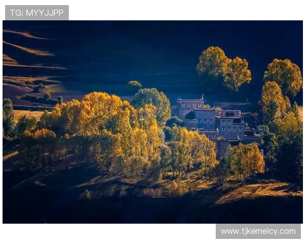 新都桥秋摄指南：错过这月，再等一年